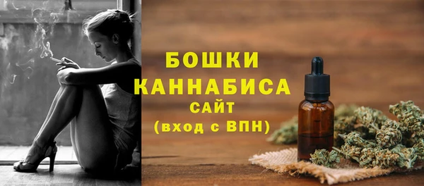 mdpv Горно-Алтайск