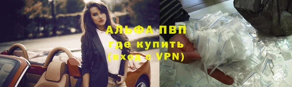 шишки Гусь-Хрустальный
