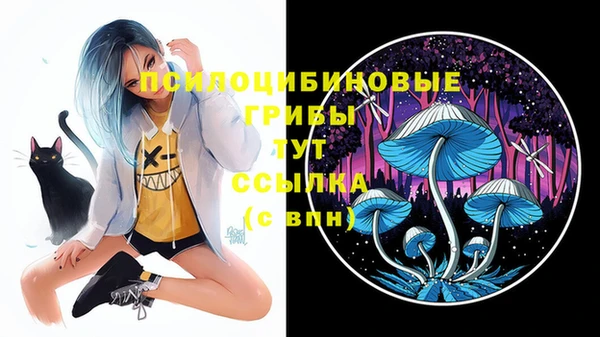 MDMA Premium VHQ Горняк