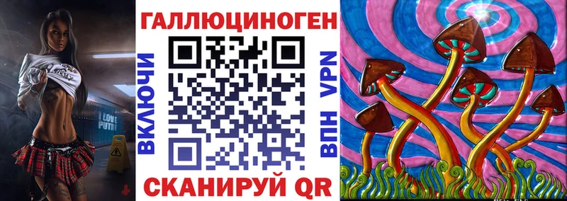 Купить где  Камень-на-Оби  Галлюциногенные грибы Magic Shrooms 